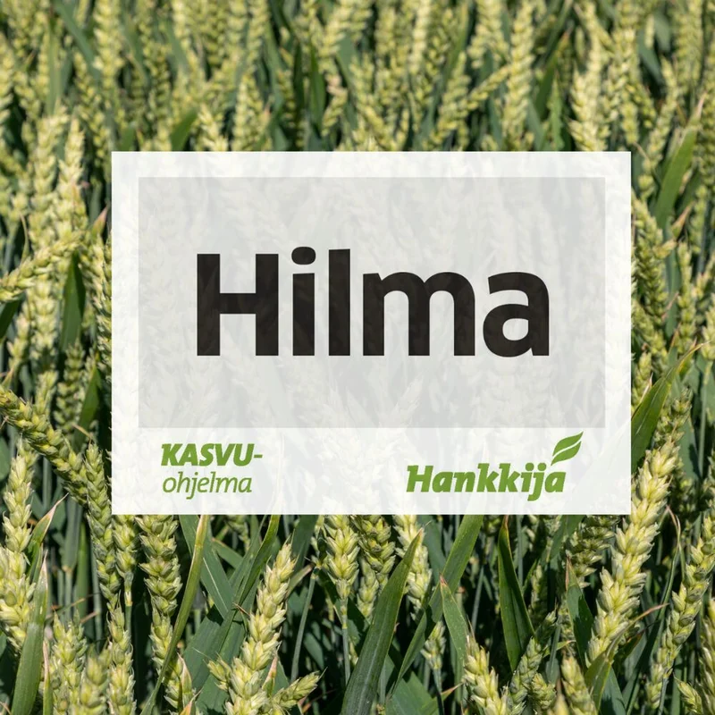 hankkija202609171536162360815