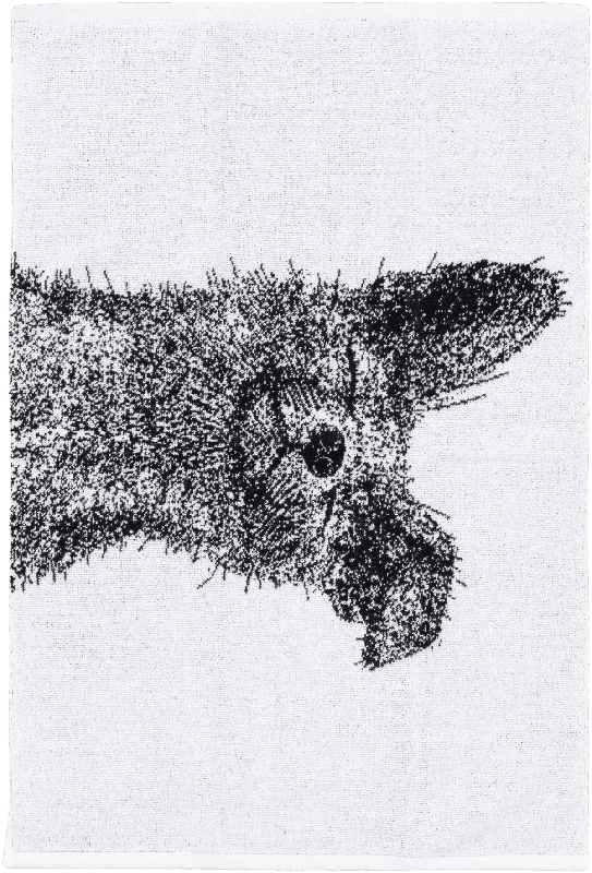 prisma-2202609150040002023727